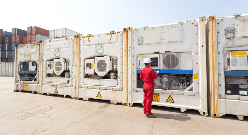 Headway JSC Hỗ Trợ Khách Hàng Xử Lý Container Hàng Lạnh (Chuối) Bị Sự Cố Trong Quá Trình Vận Chuyển.
