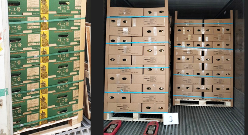 Headway JSC Vận Chuyển 15 Tấn Container Dứa Tươi Xuất Khẩu Sang Thị Trường Hàn Quốc