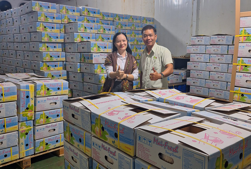 Headway JSC Xuất Khẩu 1,400 Tấn Dừa Tươi Cho Mekong Fresh Fruit Trong Quý 1/2024