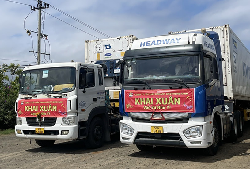 Headway JSC Phục Vụ Chuyến Hàng Khai Xuân Đầu Năm Cho Công Ty Cổ Phần BBF (Banana Brother Farm)