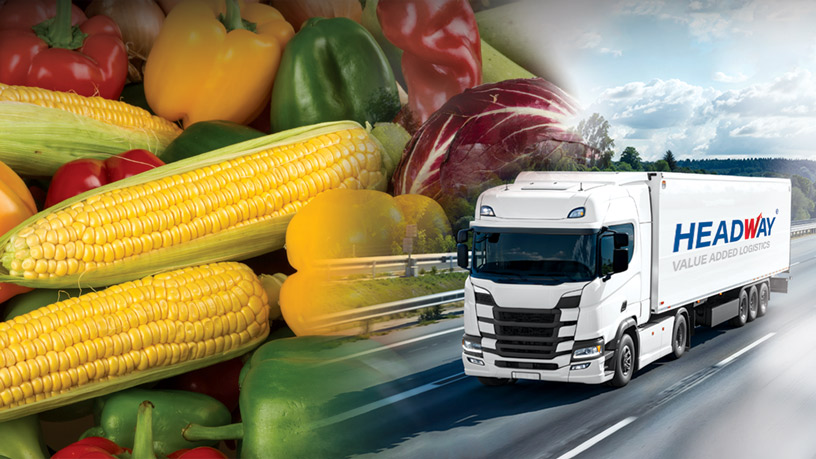Headway JSC Tăng Tốc Xuất Khẩu Rau Củ Sang Thị Trường Singapore