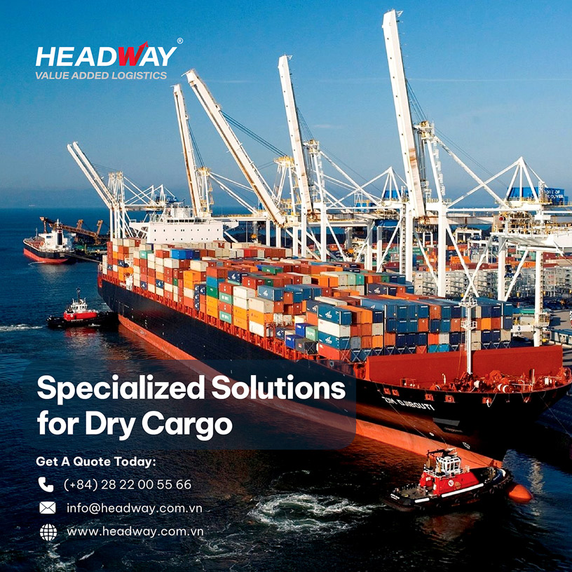 Giải Pháp Logistics Chuyên Biệt Cho Hàng Khô Xuất Khẩu Trước Biến Động Thị Trường 2026