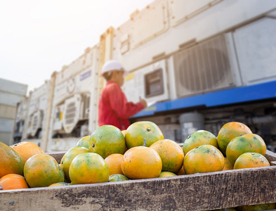 Fresh fruit